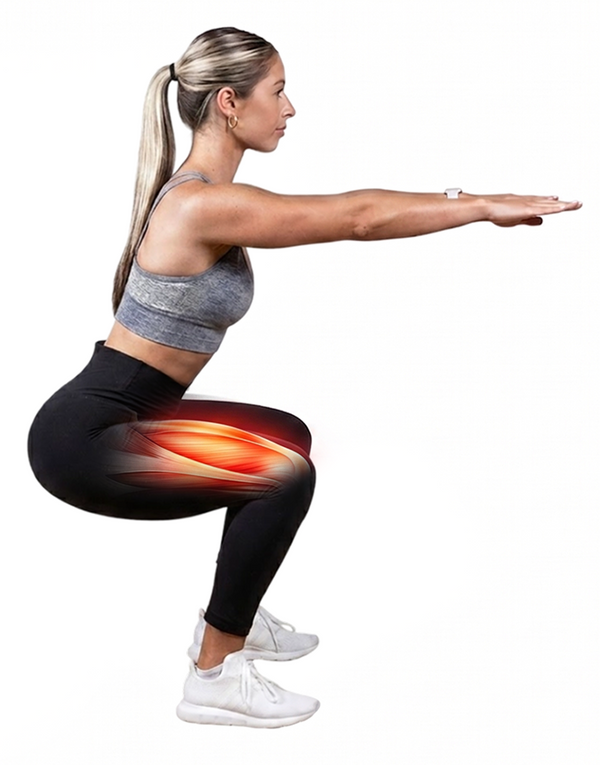 REGULAR SQUAT