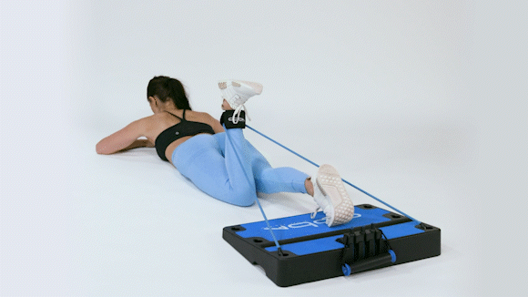 Lying Hamstring Curl